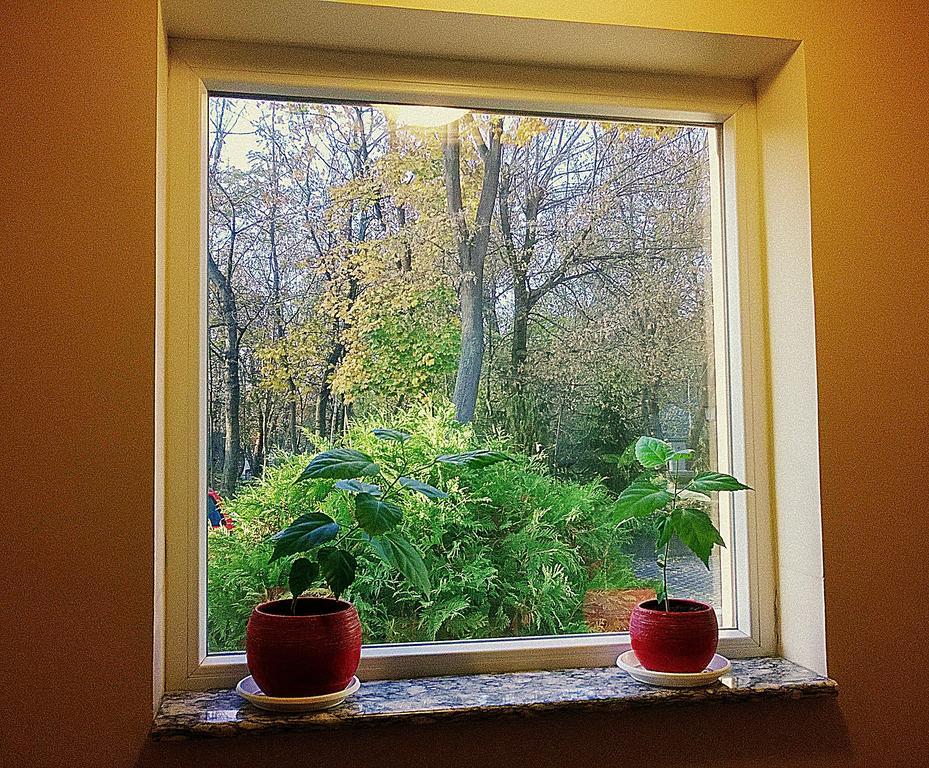 Villa Forest Belgrad Zewnętrze zdjęcie