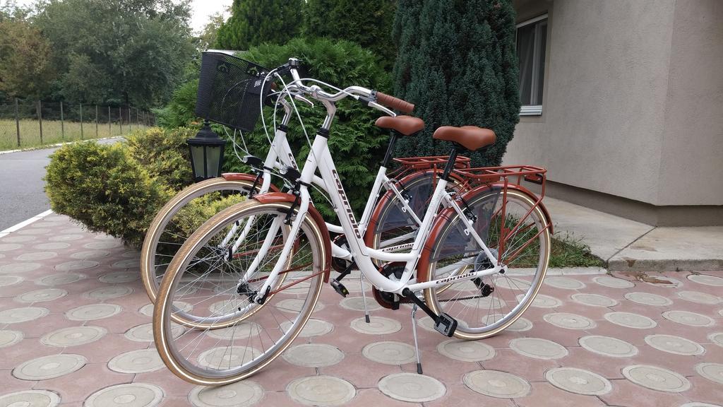 Villa Forest Belgrad Zewnętrze zdjęcie