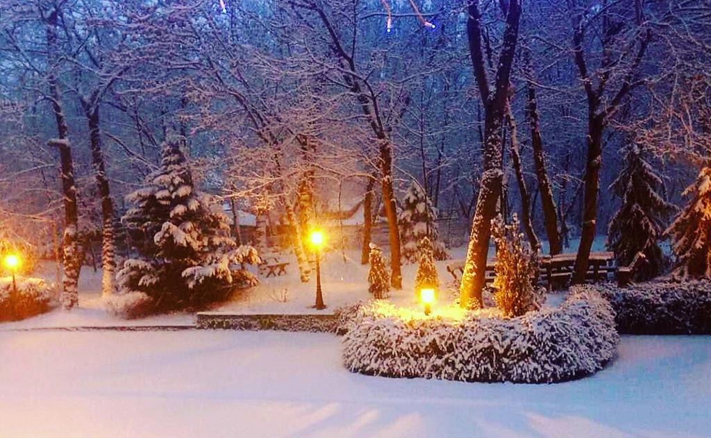 Villa Forest Belgrad Zewnętrze zdjęcie